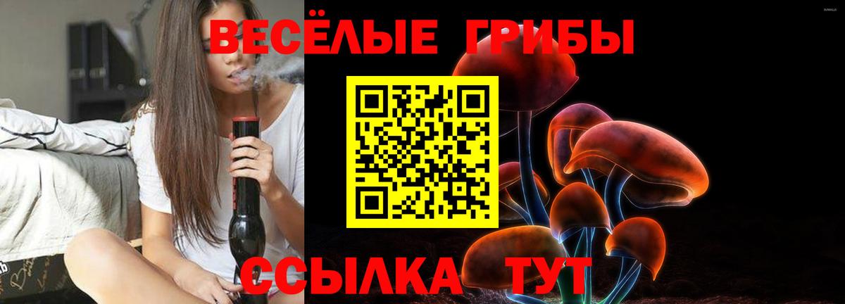 Галлюциногенные грибы Psilocybe  Вход с VPN  Кашира 