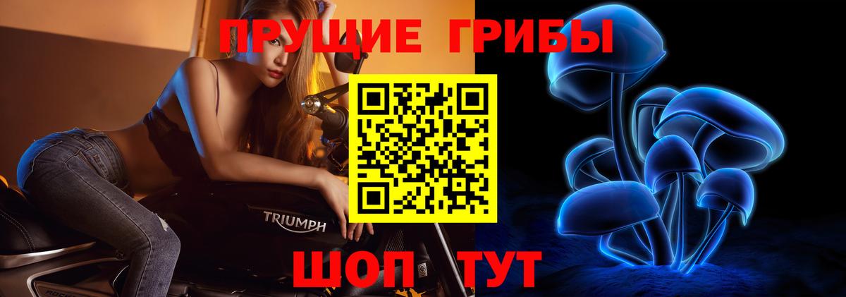 Псилоцибиновые грибы прущие грибы Кашира
